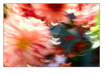 Abstract Flowers