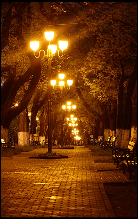 Street Lights