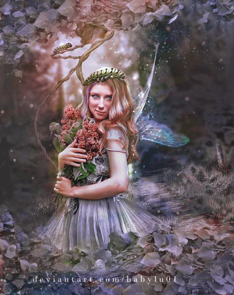 Fairy