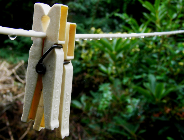 Washing line