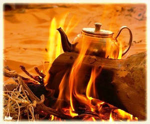 Glitter silver tea fire wood S