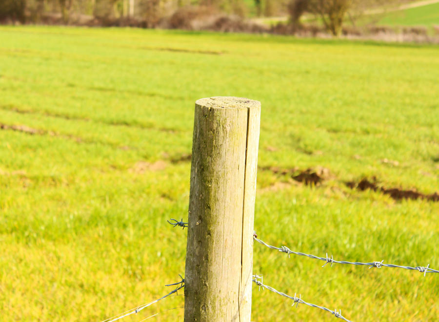 Field Post by LouiseDorothyFuller on DeviantArt