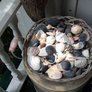 Basket of Beach