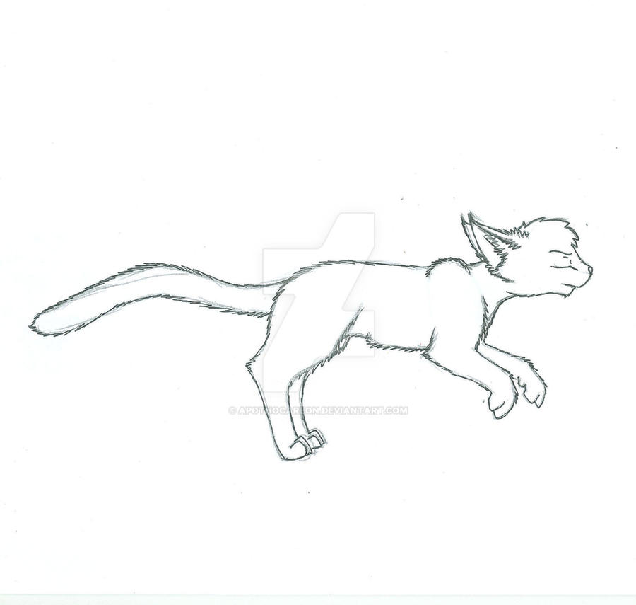 Run Cycle Guide Cat Cat Run Cycle Frame 7 by Apothocareon on DeviantArt