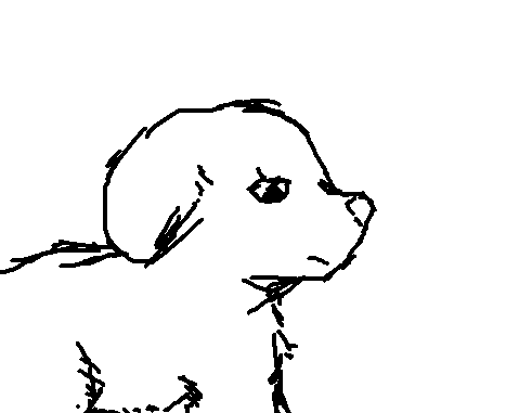 Dog drawing