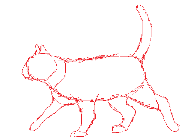 Cat Anatomy- sketch practice