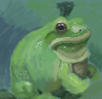 MS Paint Frog