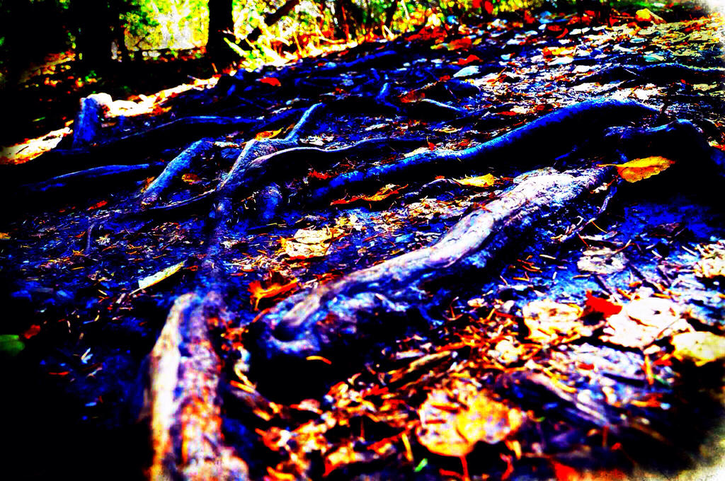 Tripping over tree roots by ballzy88 on DeviantArt