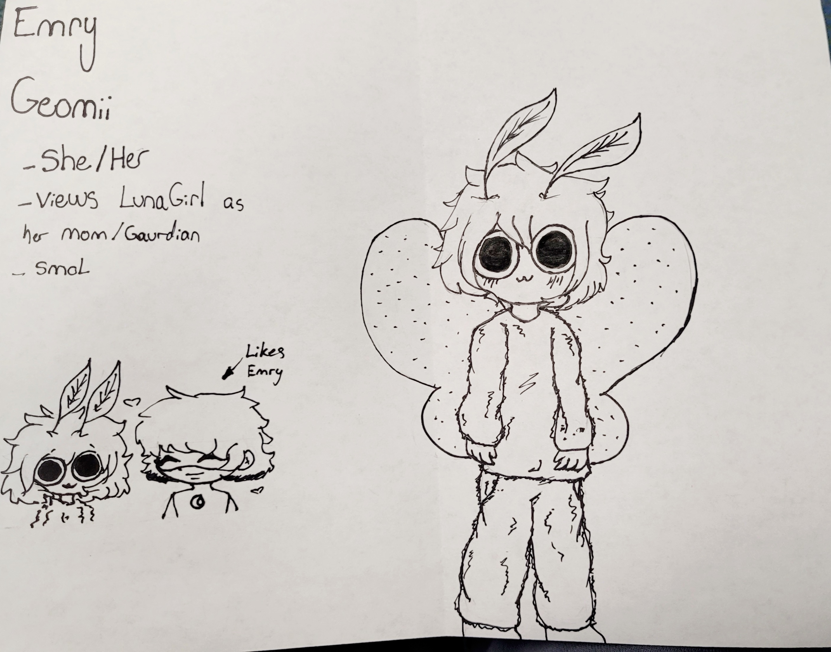 Meet Emry!! by LunaGirl6667 on DeviantArt