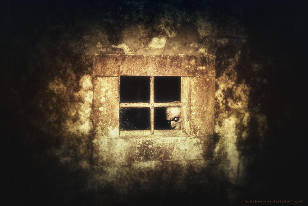 Nosferatu's Neighbour by Miguel-Santos