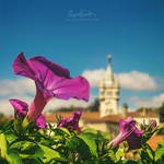 Springtime Glory by Miguel-Santos