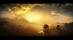 Araucaria sunrise by Miguel-Santos Araucaria sunrise by Miguel-Santos