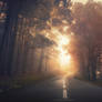 Into the Warmth