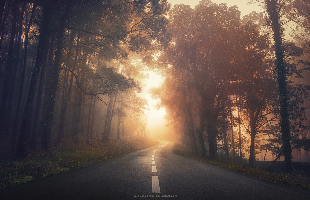 Into the Warmth by Miguel-Santos