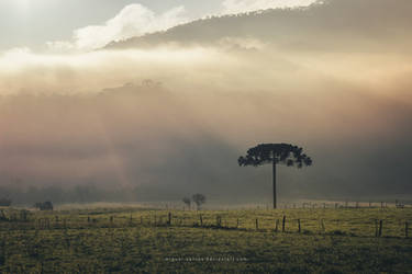 Softly Sunrising by Miguel-Santos
