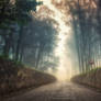 Into the Past