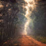 Into the Future