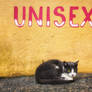Unisex Cat