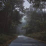 Into the Twilight
