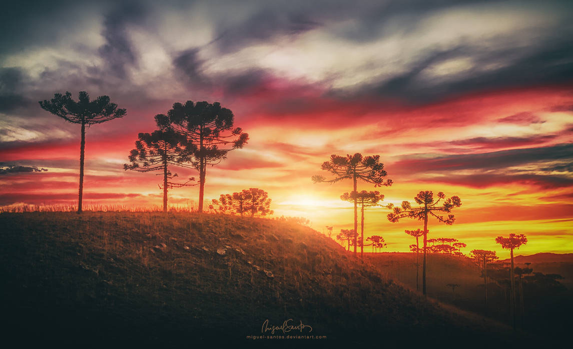 Bright Red Horizon by Miguel-Santos Bright Red Horizon by Miguel-Santos