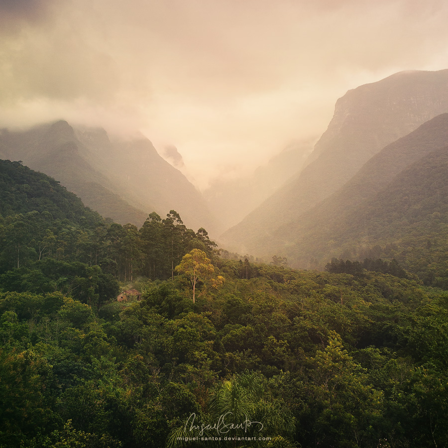 Natural Mystic by Miguel-Santos
