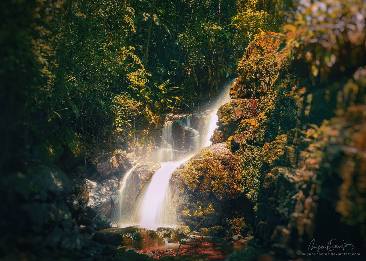 Stream of Light by Miguel-Santos