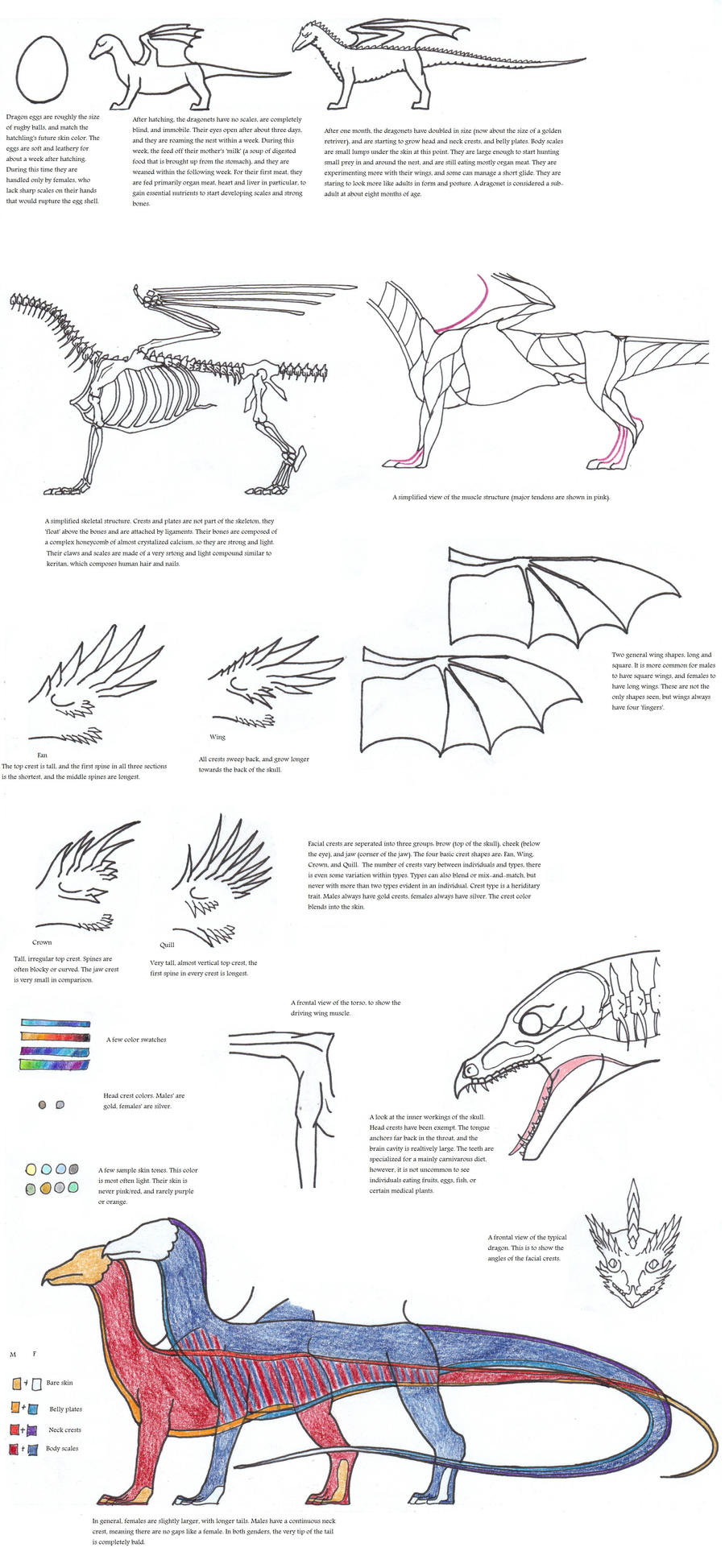 Gods' Children refsheet