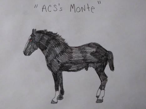 ACS's Monte