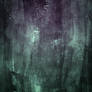 Cold Night