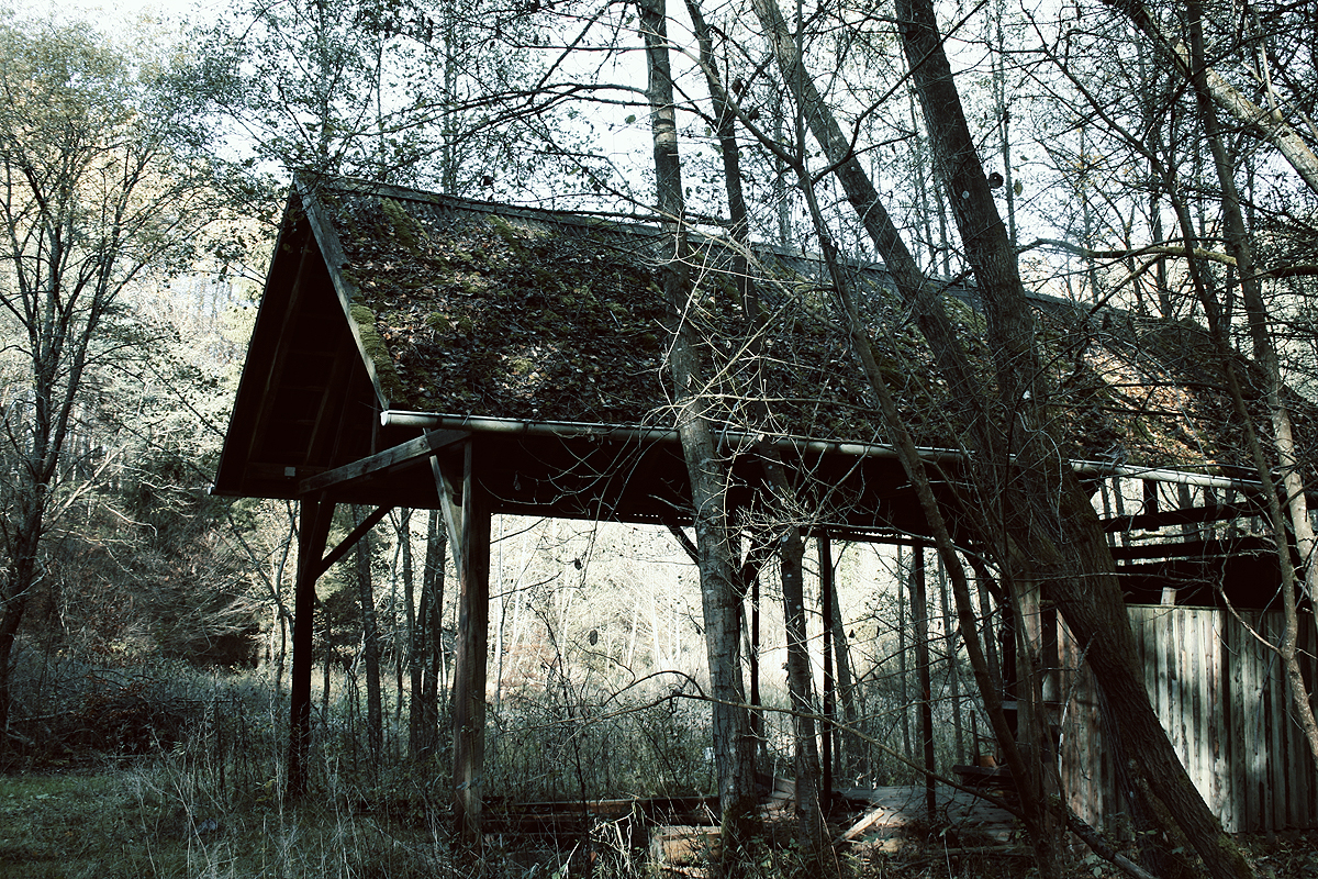 Cabin in the Woods