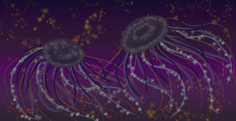 Star Lake Jellyfish