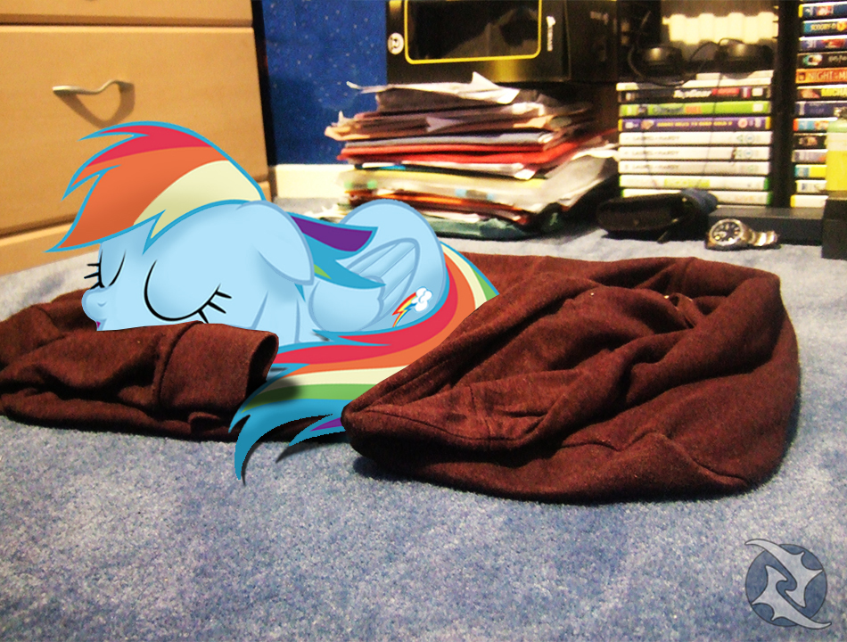 My Little Dashie #3: Napping on my Jacket