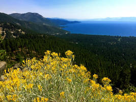 Lake Tahoe Nevada iPhone Landscape.