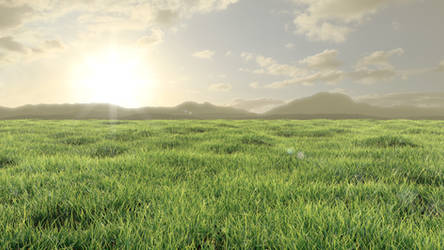 Grassy Plains