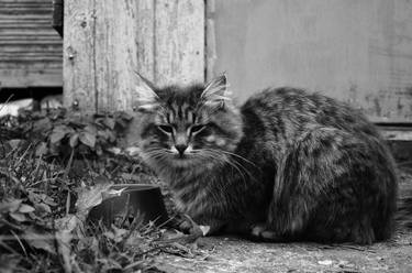 autumn portrait