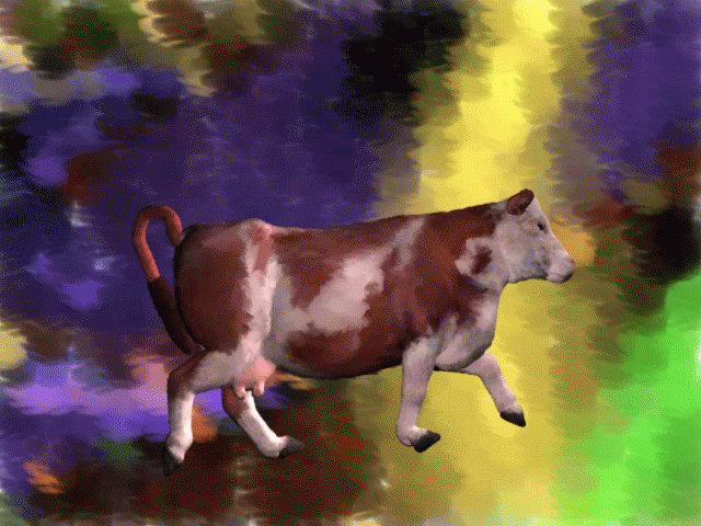 Code Cow Walking Cow Walk by Sockratease on DeviantArt