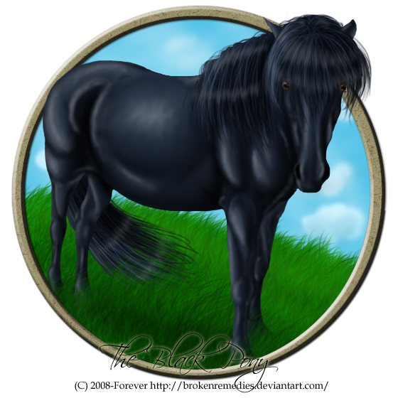 The Black Pony