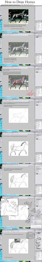 How to Draw Horses 2010