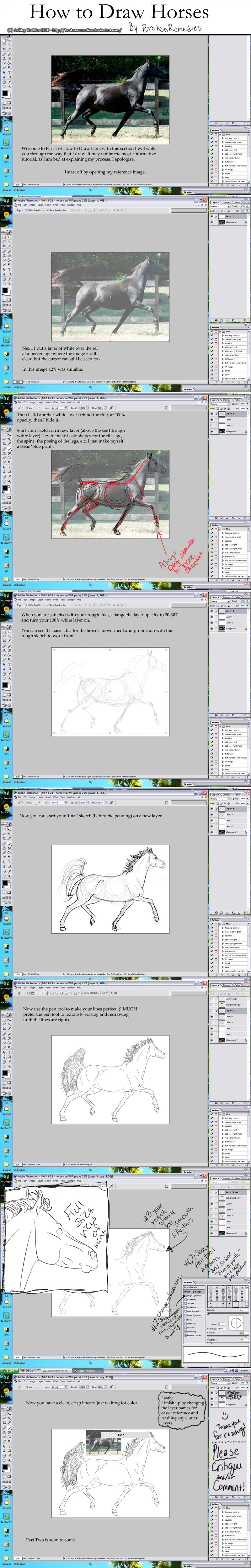 How to Draw Horses 2010