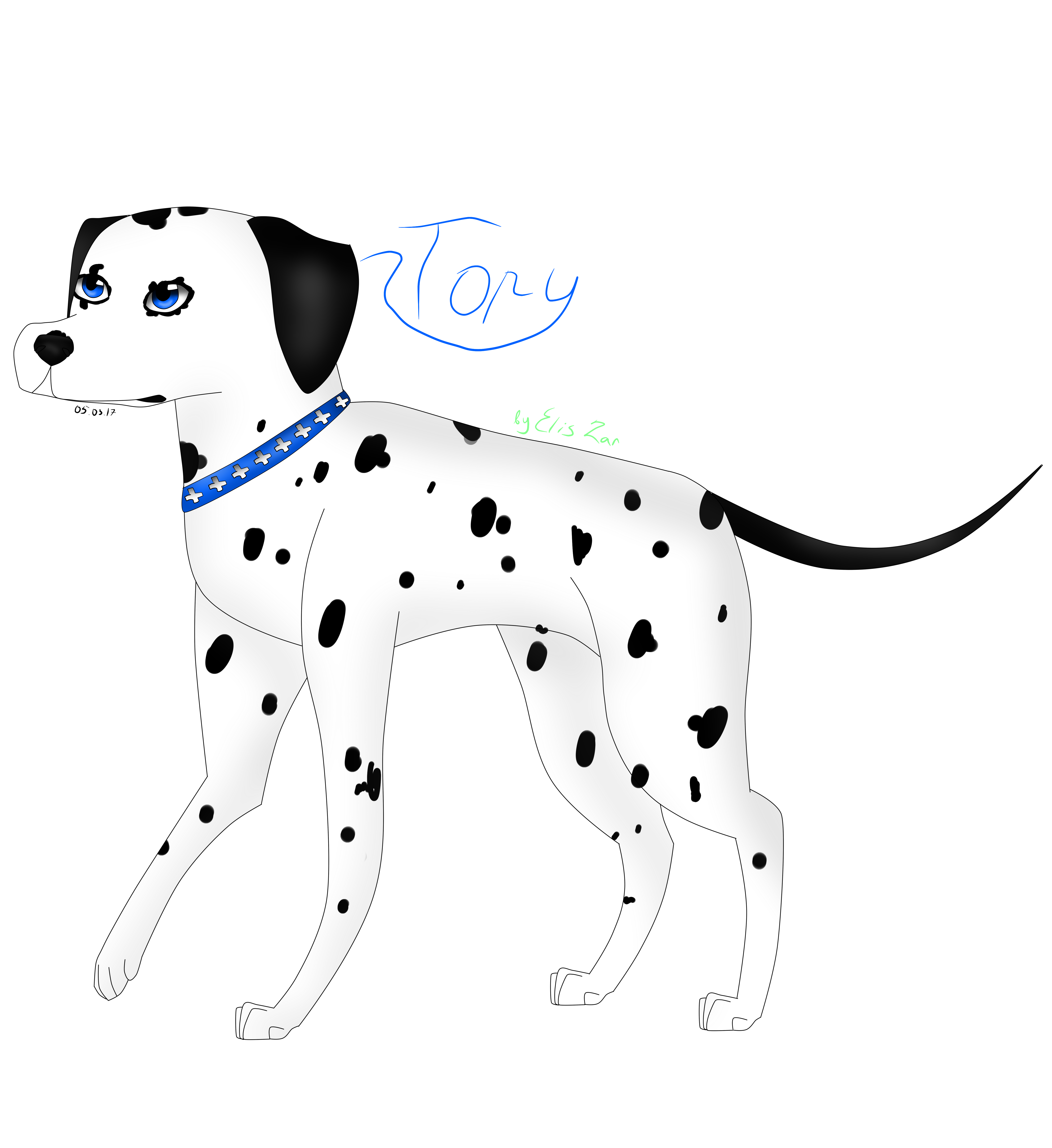 My Dalmatian Tory