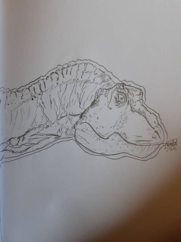 Dinosaur by NotoriousNitty on DeviantArt