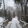 Snowy Driveway