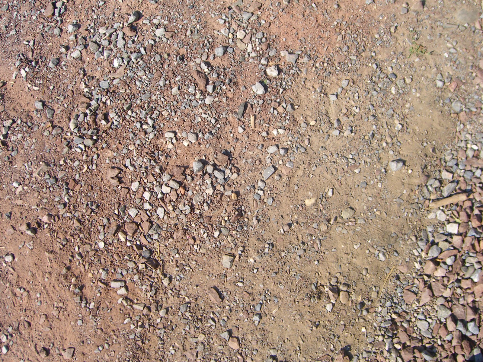 Dirt Road Texture