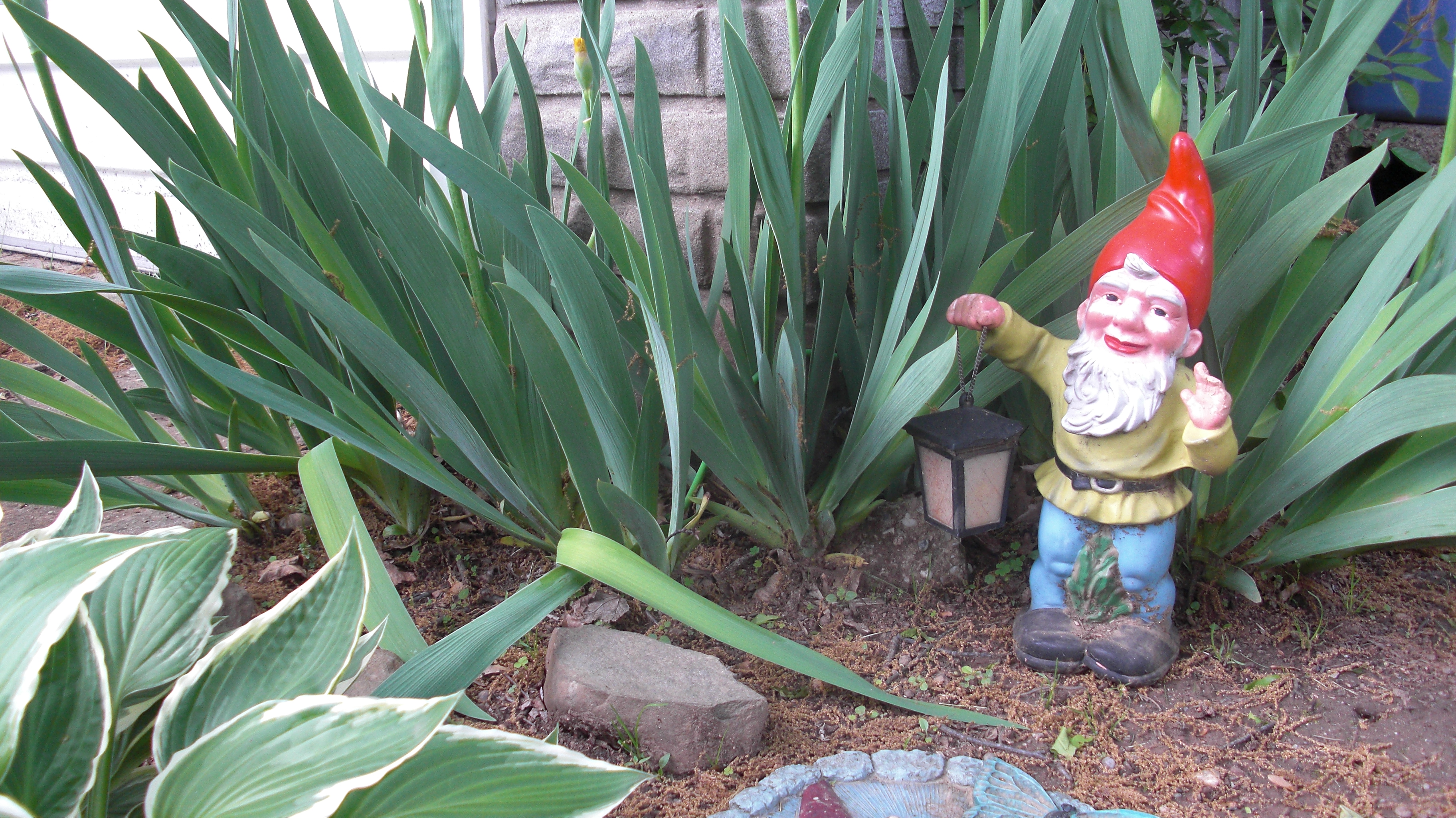 Garden Gnome Stock