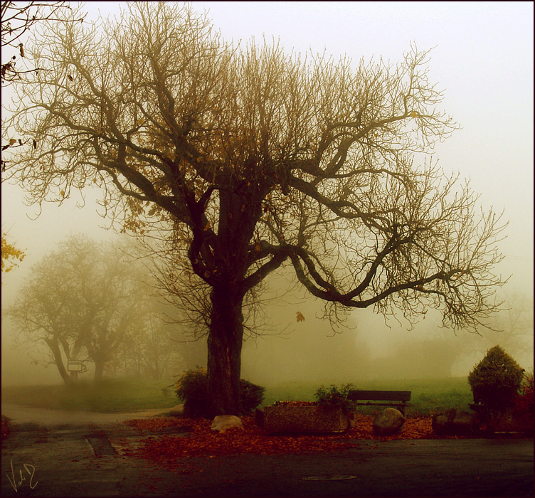 My favorite place by ValentinaKallias