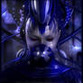 Blue Borg