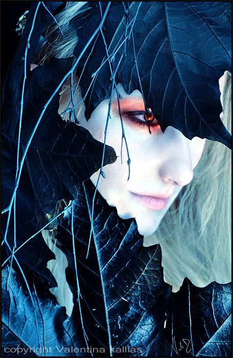 Vampires- The Blood Opera