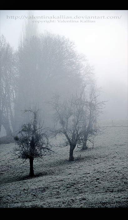 Enjoy the Deadly Silence by ValentinaKallias