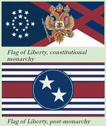 Liberty concept flags