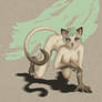 Khaki Kitty